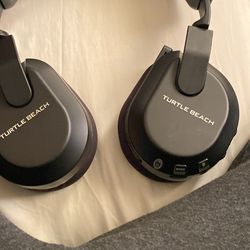 Turtle beaches