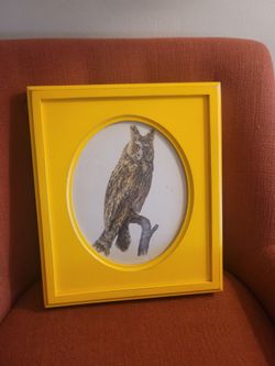 Cool framed owl (frame also available solo)