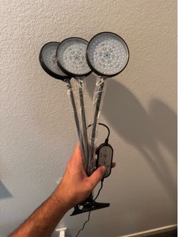 Lights