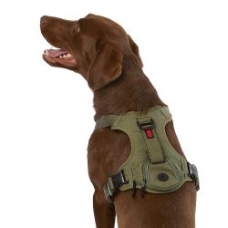 Kong Dog Harness - all sizes