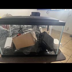Fish Tank 10 Gallon 
