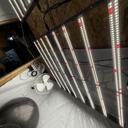 10’s Of Thousands Of Dollars Worth Of Grow Equipment