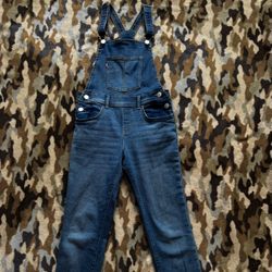 Levi’s Overalls 