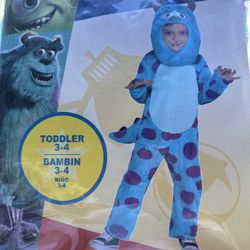 Sully Costume 