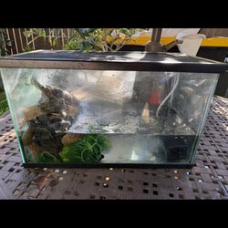 Tank And Pump/filter