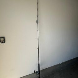 Slamer Fishing Rod