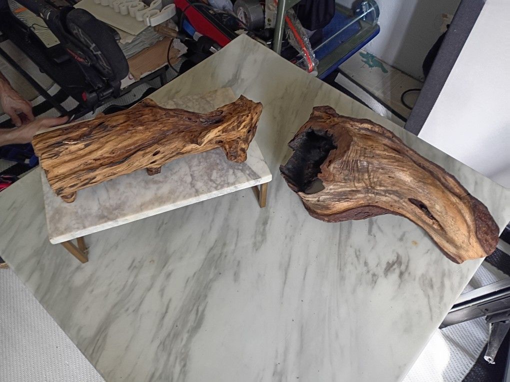 Beautiful Driftwood Wood 