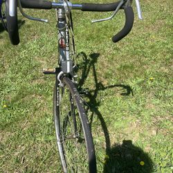 Raleigh Capri Bike