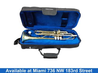 Anitga 2560 Gold Trumpet