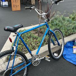 Schwinn Uni Vega bike