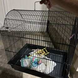 Bird Cage With Toys 
