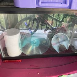 10 gal aquarium with accessories 