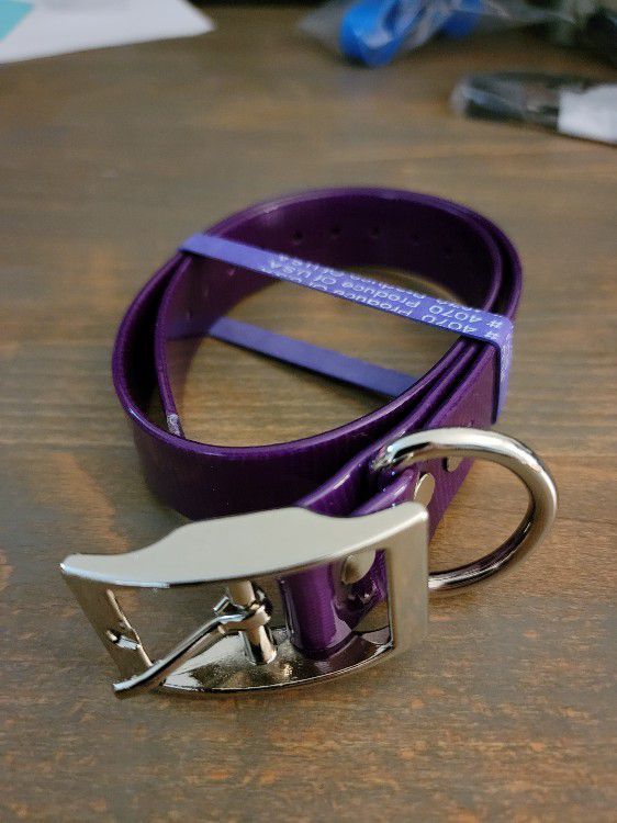 1" Outdoor Dog Supply Collar (purple)
