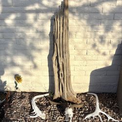 Decorative Cactus Skeleton