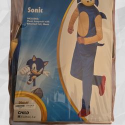 Sonic Costume 