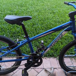 Cool Blue 20-inch Specialized Hotrock Bike for Kids