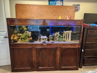 125 Gallon Fish Tank