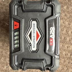 Briggs & Stratton
