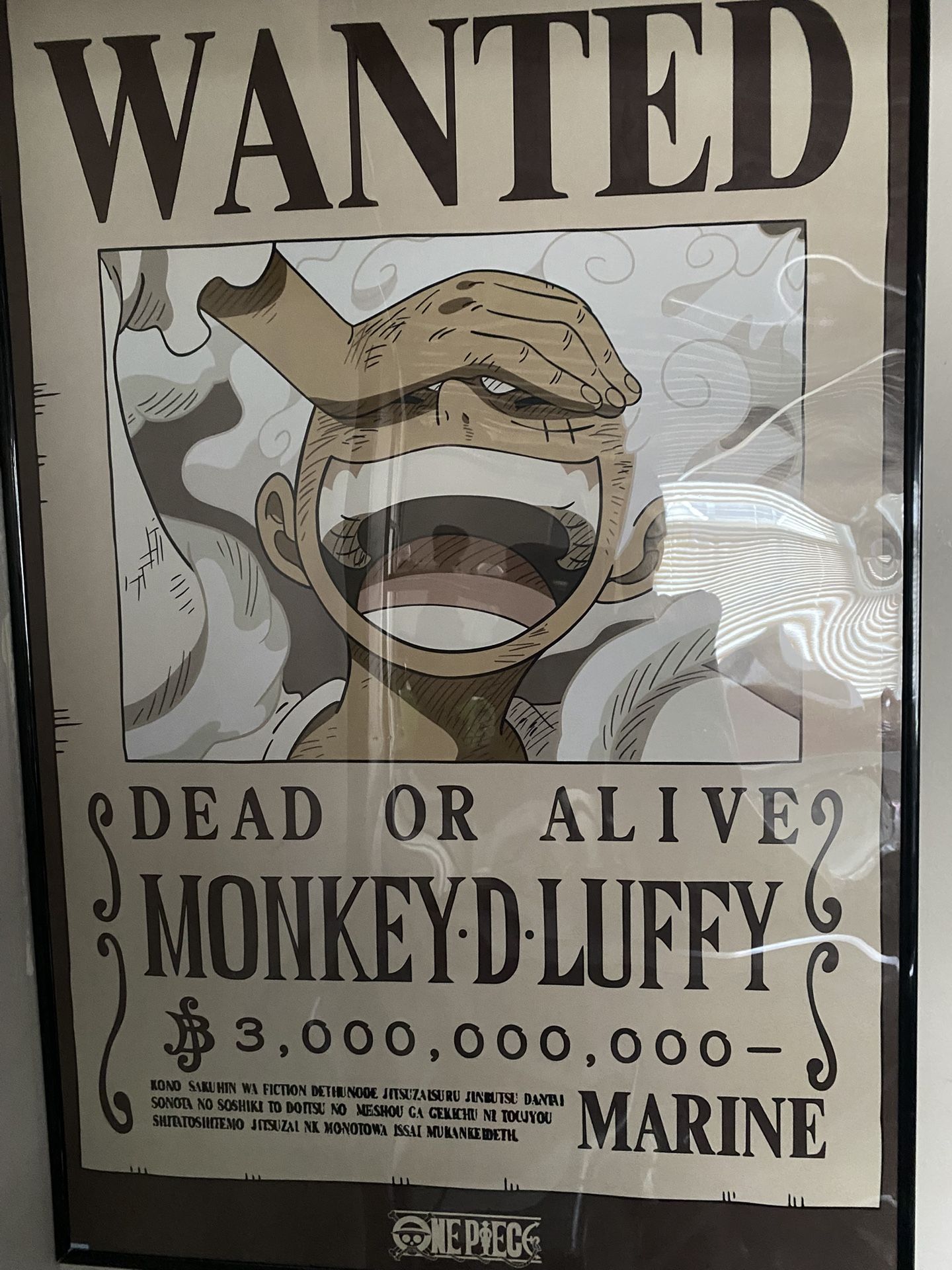 One Piece Poster