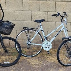 Nishiki, Beach Cruiser, Raleigh Mountain Bike