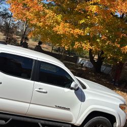 2023 Tacoma