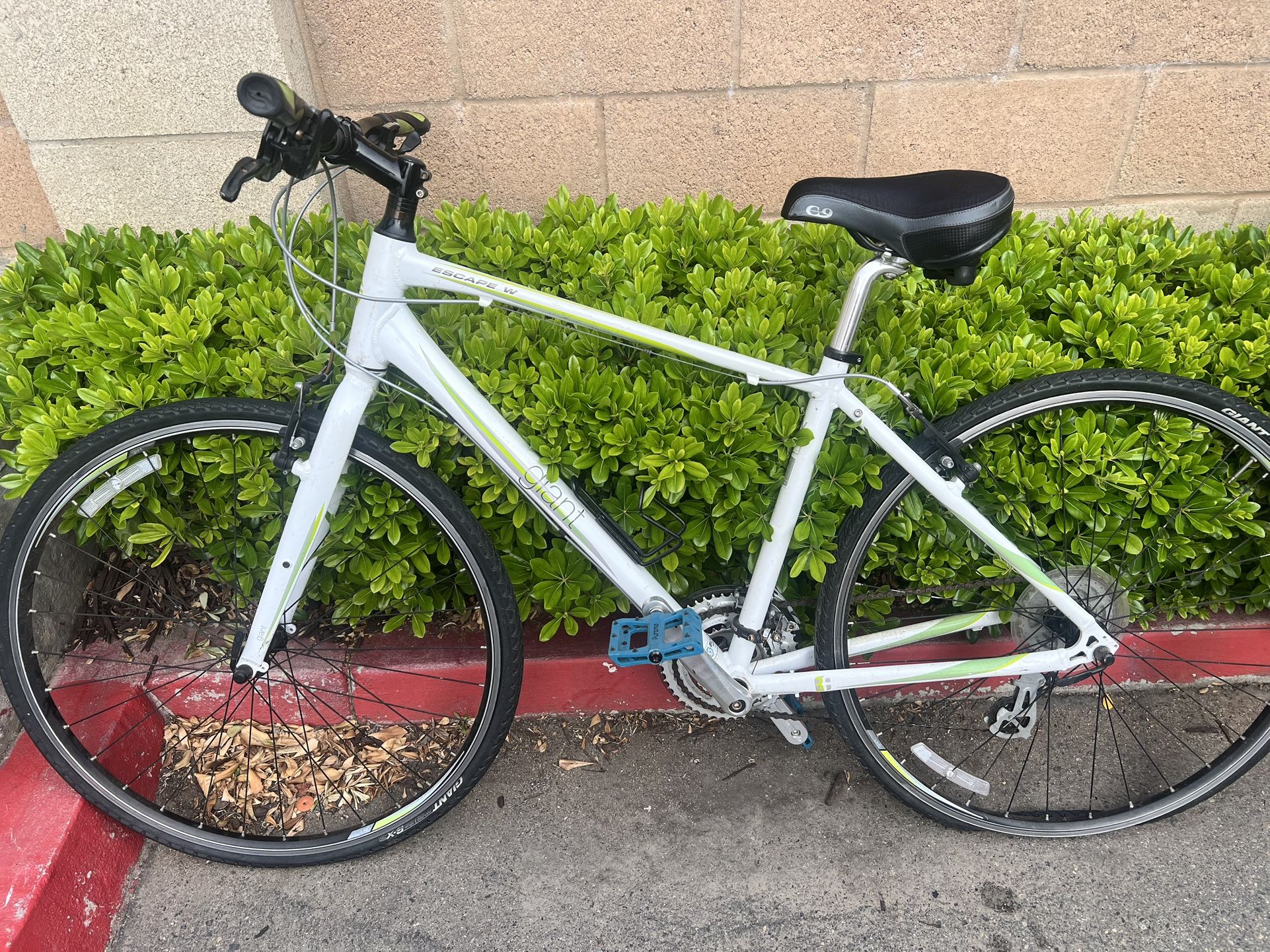Giant/Liv Bike