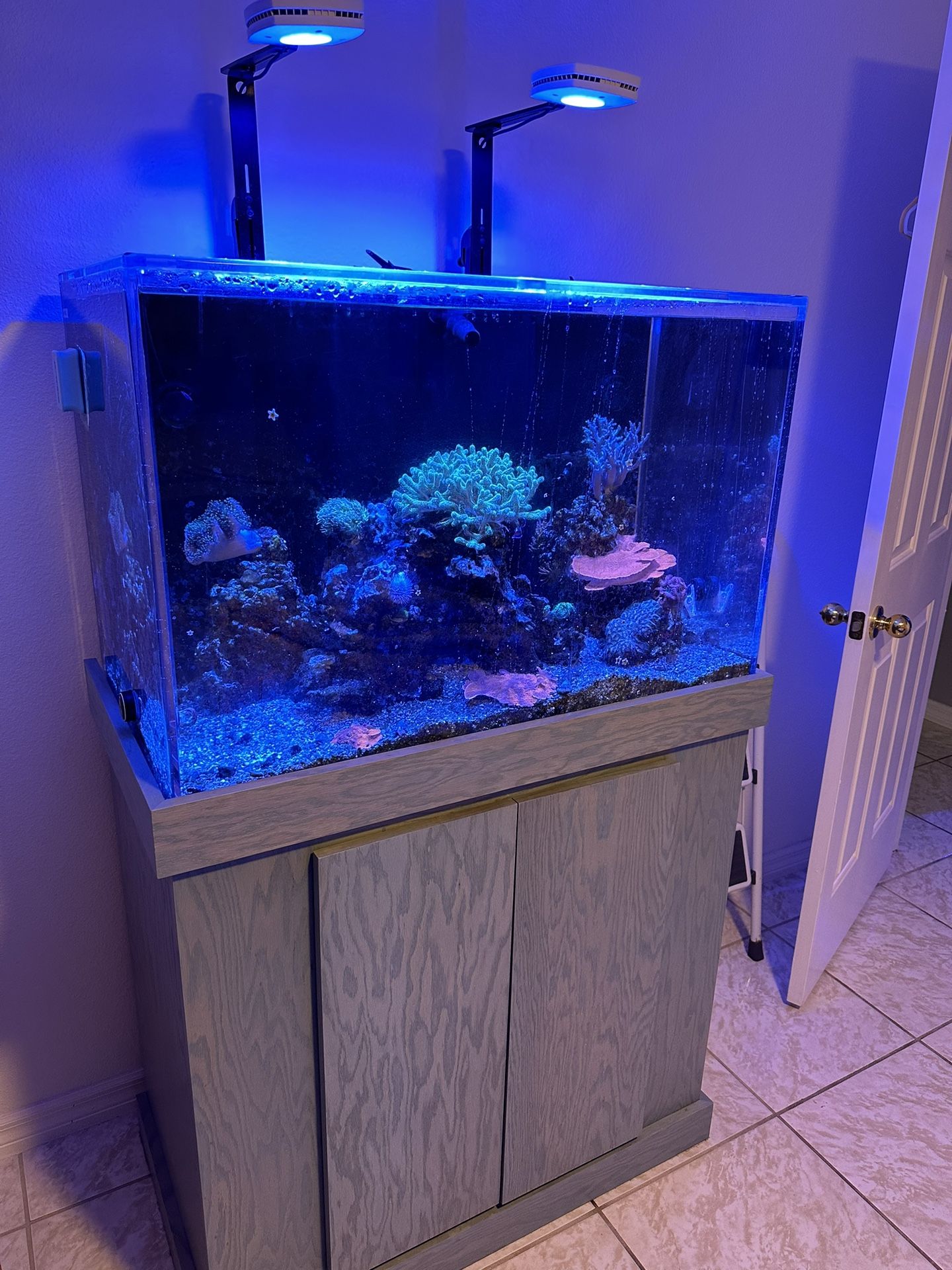 (3) 80 Gallon Acrylic Reef Ready Aquariums for Sale in Kissimmee, FL