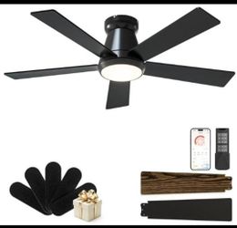 5 blade ceiling fan/light