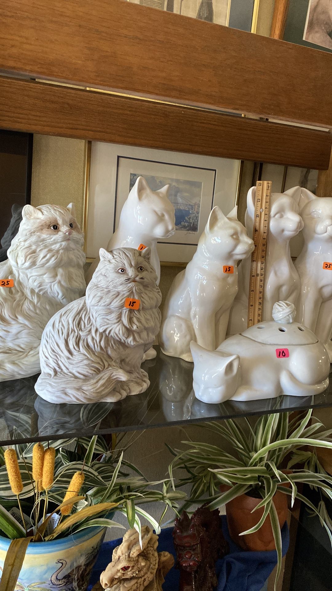 Large cats. Prices are on them.