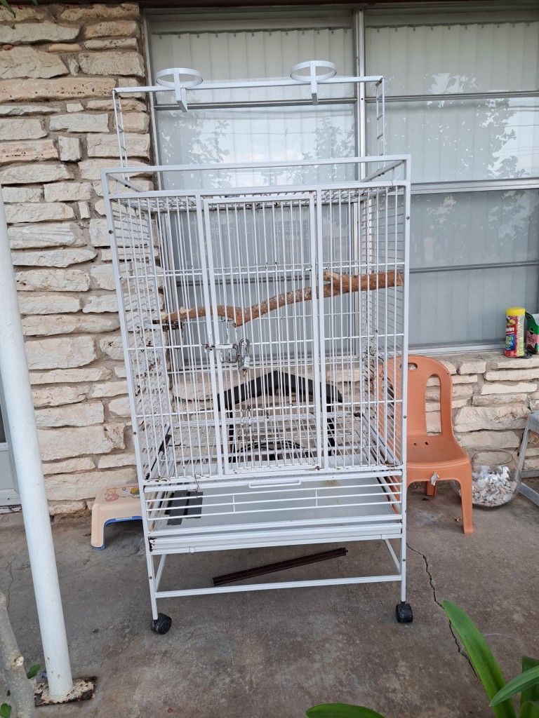 Bird Cage