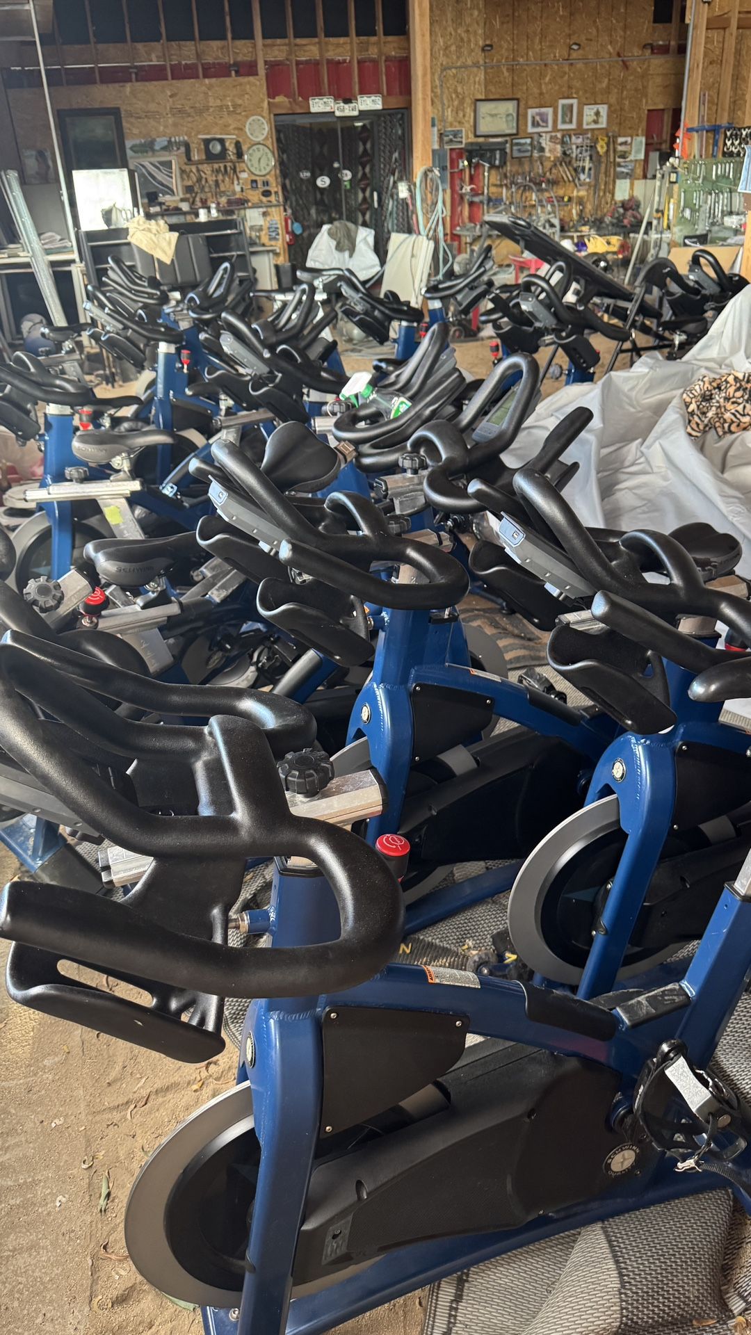 carbon blue schwinn 33 bikes available