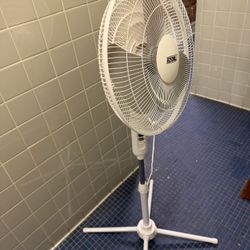 Fan