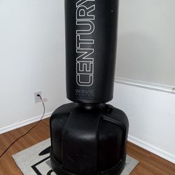 Punching Bag - Century Wavemaster  