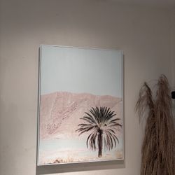 Canvas Wall Art Like New Condition
