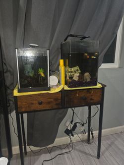Fish tank