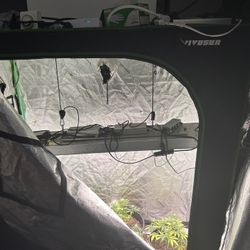 2x4 Vivo Sun Tent Kit 