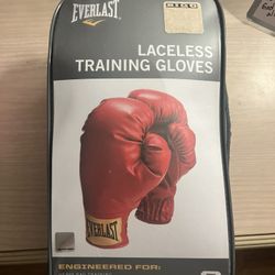 Everlast Boxing Gloves 