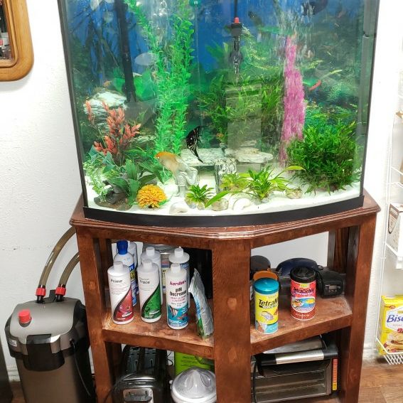 40 Gallon Marineland, Bowedfront Aquarium, Accessories And Stand for