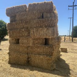 Hay 