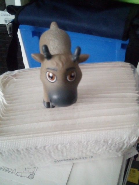 Moose From Frozen