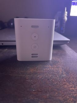 Alexa/ Echo flex