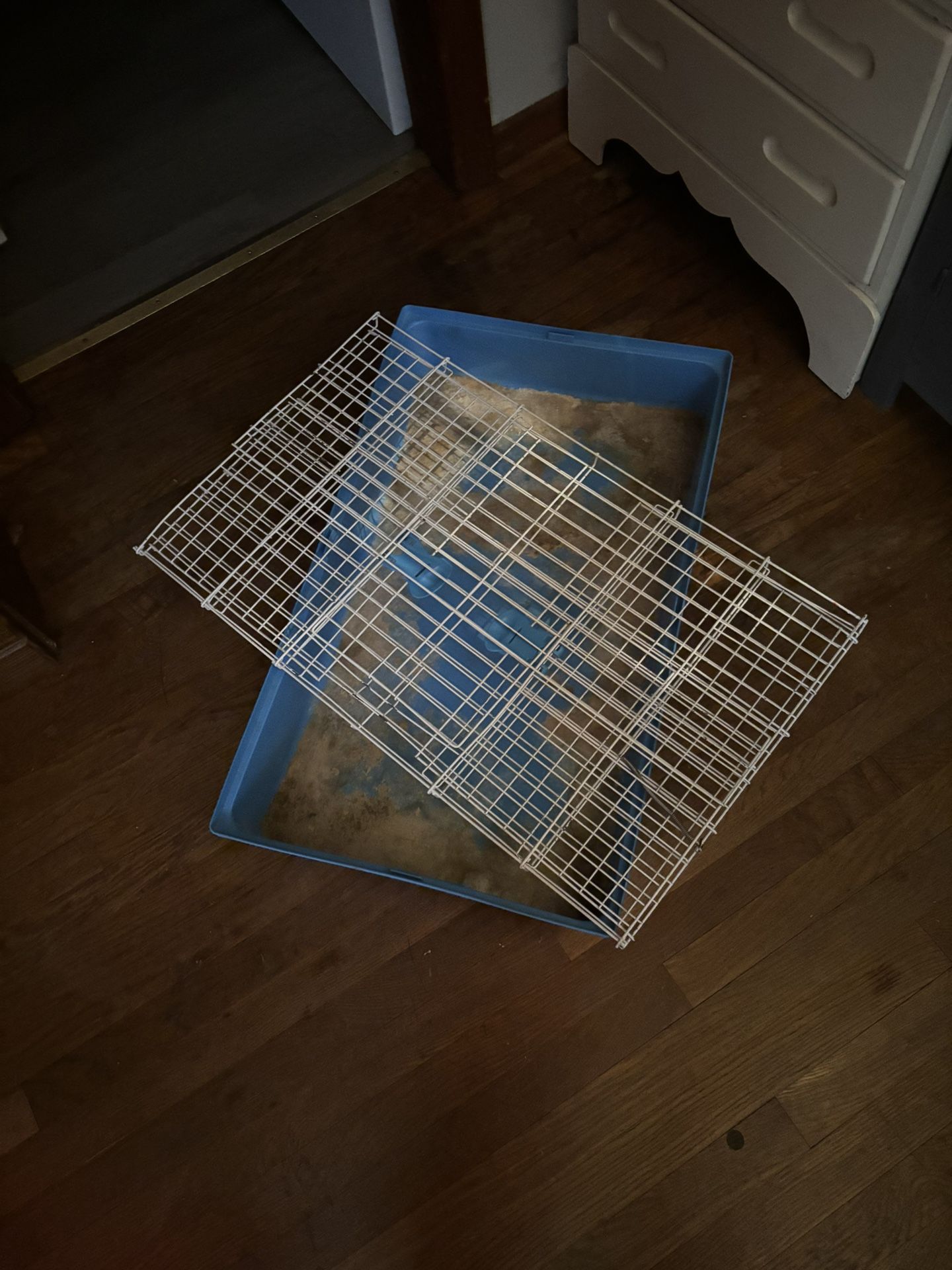 Guinea Pig Cage