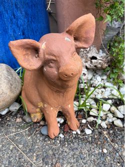 Terracotta seated pig garden figurine