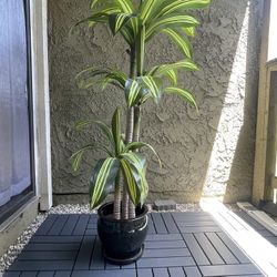 Green Ceramic Planter 