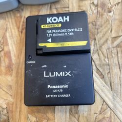 DE-A79 battery charger. 