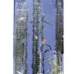 Fish tank, Vertical Pentagon Tower, Acrylic