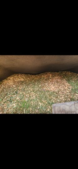 Wood Chip Loads