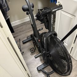Air Assault Bike