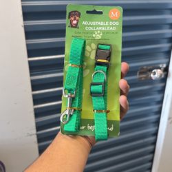 Green Adjustable Dog Collar