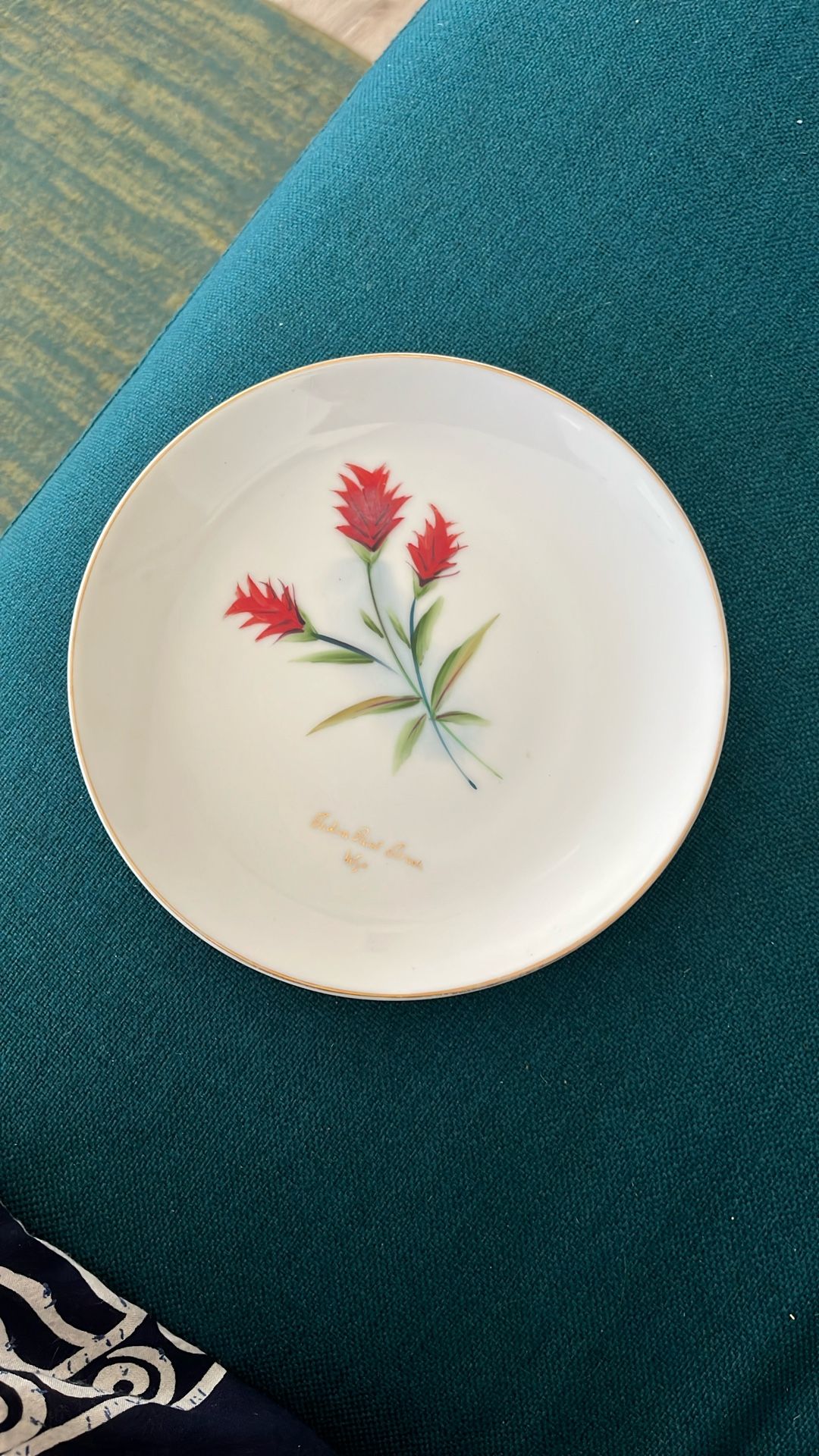Souvenir Plate Indian Paint Brush